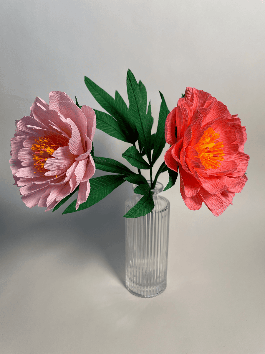 Peonies