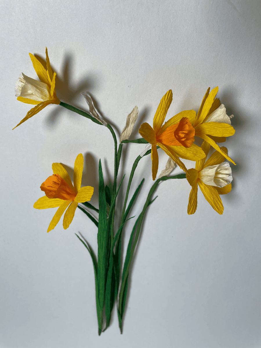 Daffodils